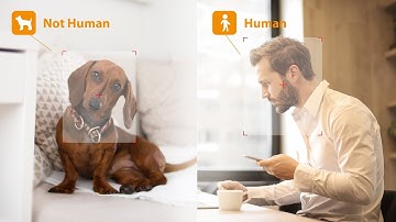 Human Detection Test - Imou Ranger IQ