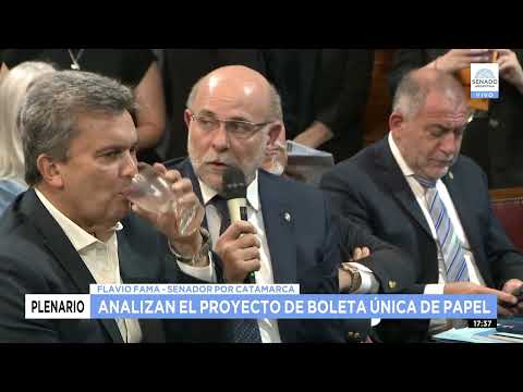 SDOR. FLAVIO FAMA - PLENARIO DE JUSTICIA Y AS. CONSTITUCIONALES 03-01-24