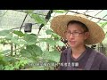 【魚菜共生】請魚來種菜(我們的島 第714集 2013-07-08)