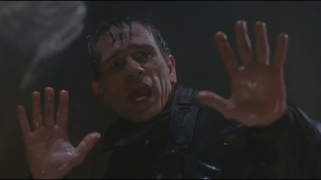 The Fugitive - I didn't Kill My Wife (I Don't Care)!