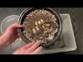 USCBB Chinese water dragons HATCHING! | Chinese water dragon Group B Clutch 3
