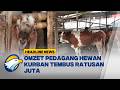 [HEADLINE NEWS, 03/05]  Penjualan Hewan Kurban di Palmerah Meroket Tajam