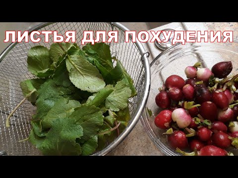 Простой рецепт Похудения. Листья редиса и пшено #shorts
