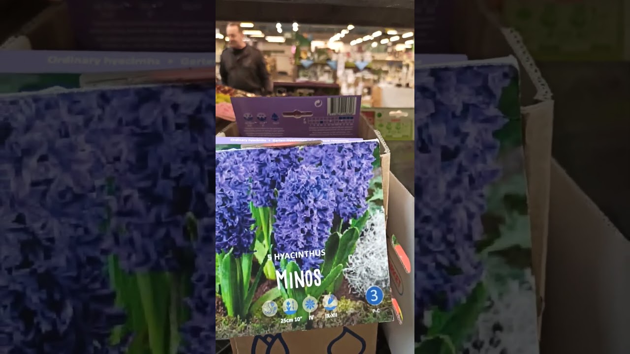 ДАРВИН 37км Ленинградского шоссе, уже в начале февраля огромный ассортимент посадочного материала.