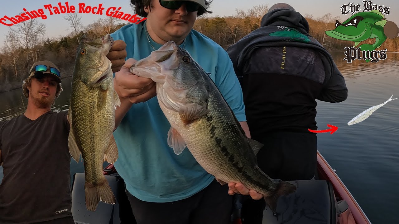 Chasing Big Bass on Table Rock Lake | Bass Plugs