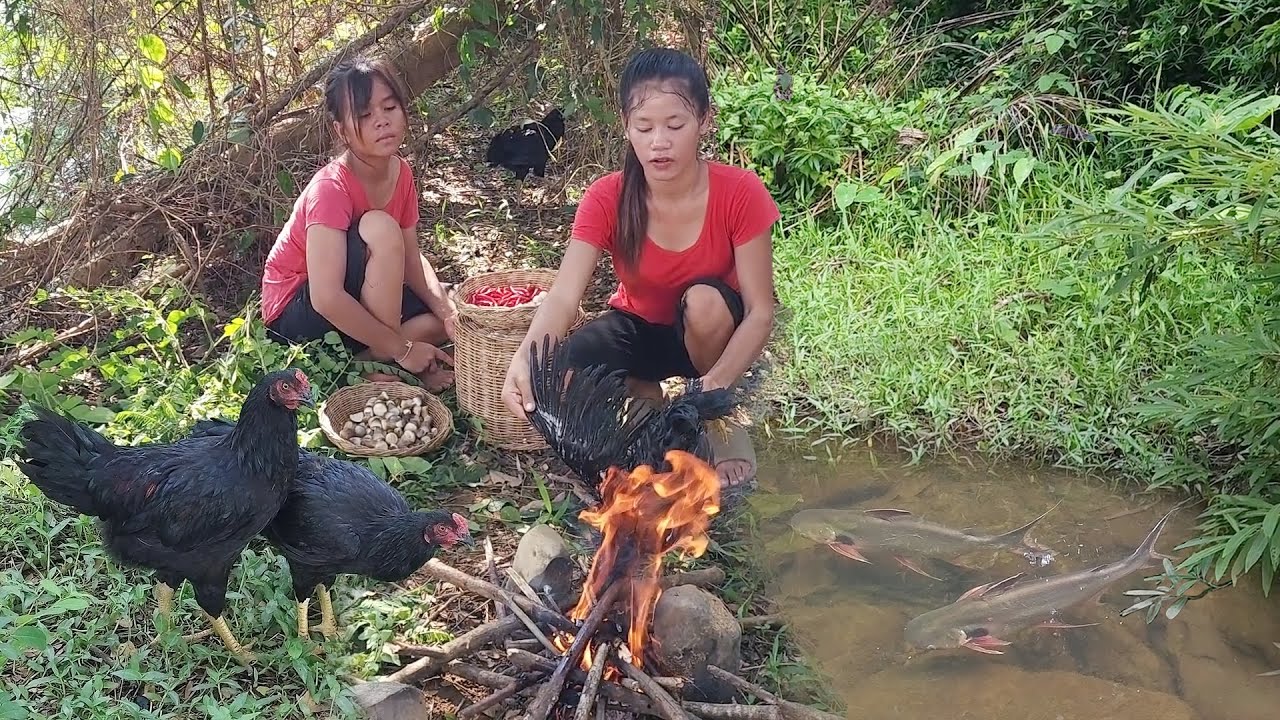 Survival skills: Catch chicken in forest, Chicken cooking for lunch, Big fish curry spicy for food