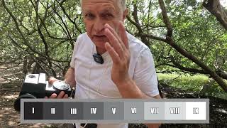 Large Format Landscape: spot metering vs incident meter – B W Film Photography Gossen Profisix