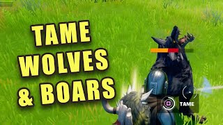 Fortnite how to tame a wolf and a boar - Fortnite Chapter 2 Season 6 tame wildlife