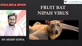 (MM 20) Fruit Bat | Nipah Virus | Echolocation | Schedule 5 | Vermin| Wildlife Protection Act, 1972