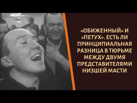 Видео: В чем разница между обиженным и обиженным?