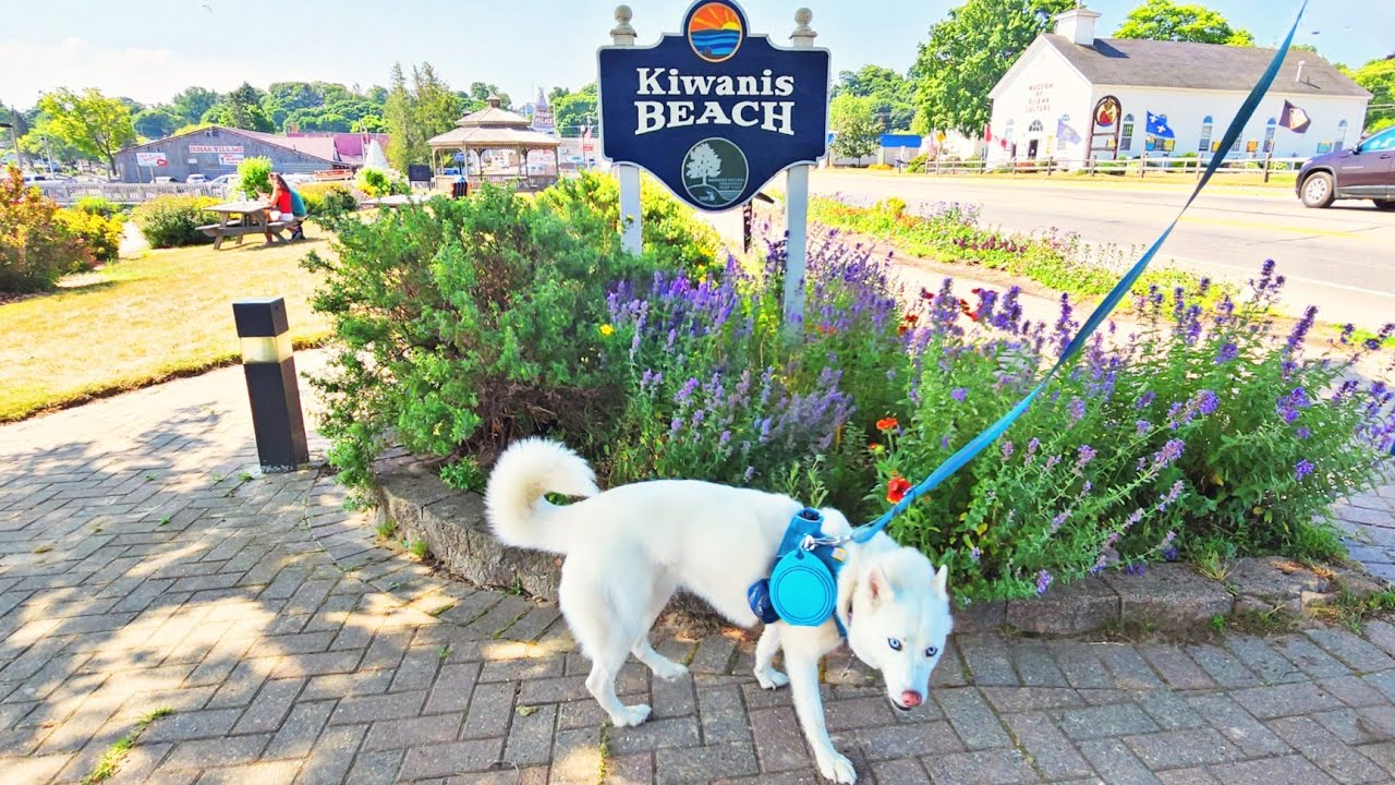 Kiwanis Beach Lake Huron Beach in the UP YouTube