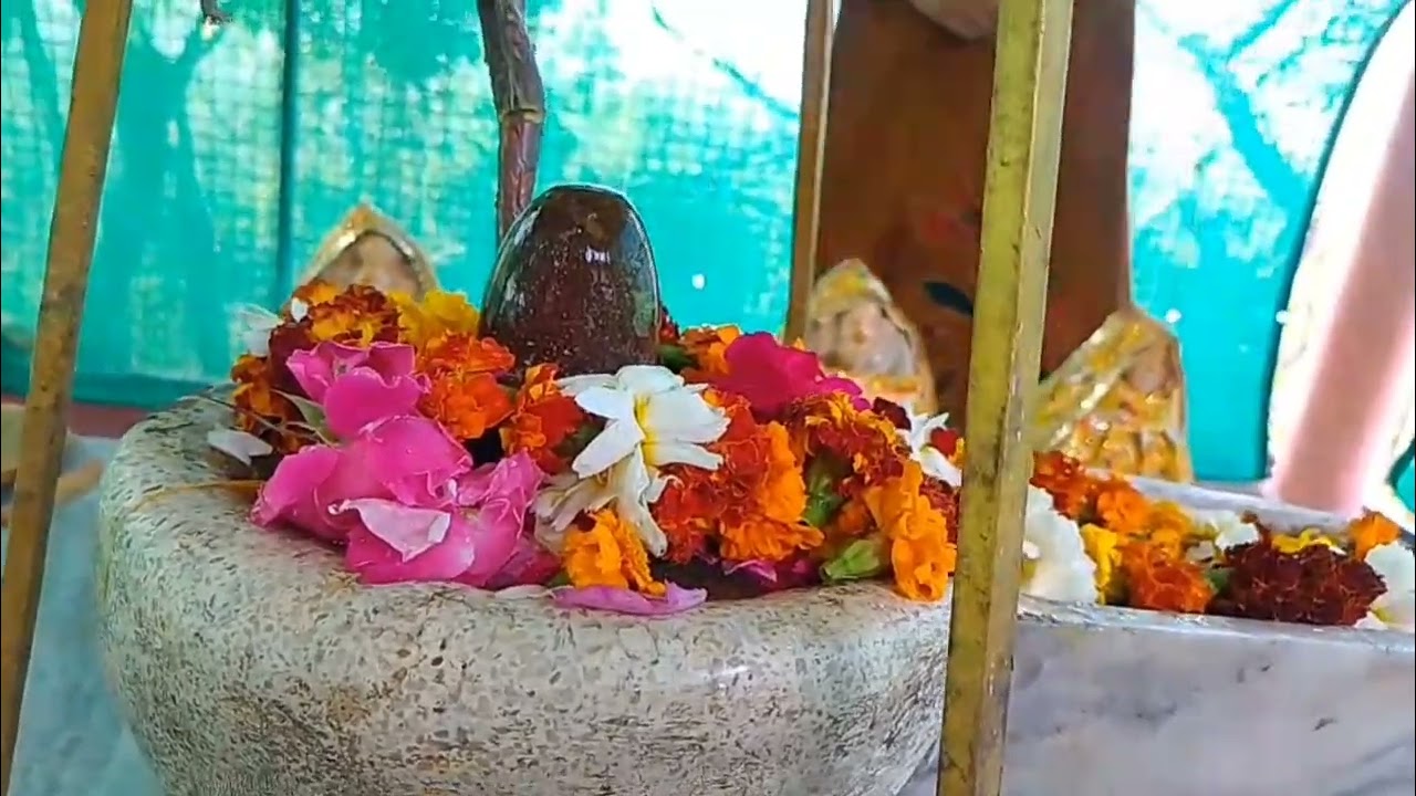 Baba ugadnath ji ke darshan, har har Mahadev #mahadev #nath #darshan #live #astrology 