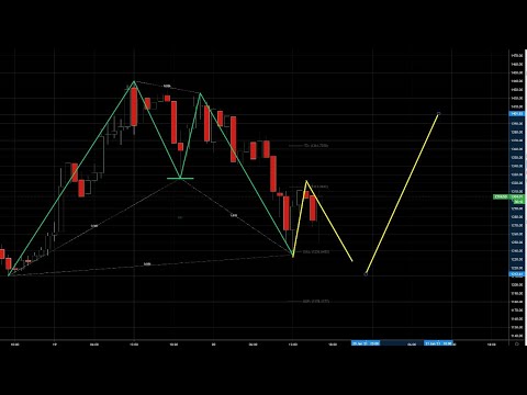 Harmonic Pattern Crypto Presentation With Scott Carney - BTC ETH All-time New Highs!