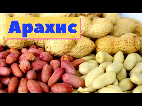 Арахис | Как это сделано | Peanut