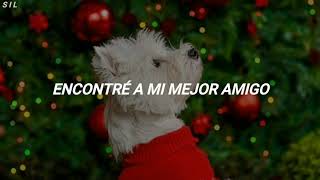 Sia - Puppies Are Forever // Español