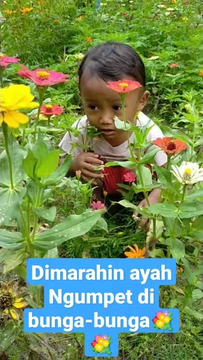 Anak Kecil dimarahi Ayah #shorts #pandawa #viral #trending