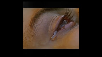 devdas movie last seen sad status srk 😪