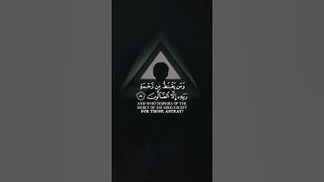 قرآن كريم بصوت القارئ هاني العزوني تلاوة مؤثر ارح قلبك 💚🌿حالة واتس إسلامية /استوري انستغرام