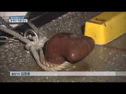 newspaper 9 22 19 KBS News 9