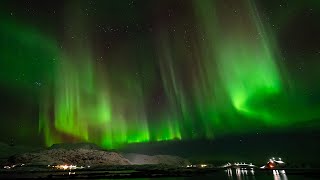 Lofoten Nights - Aurora Borealis, Northern Lights in 4k, Winter Nights Norway in February 2024
