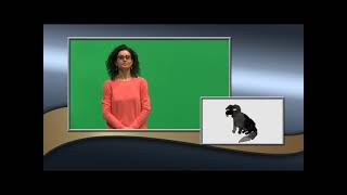 Guanti Rossi 2 - Ua16 Lis3