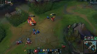 Teemo Counters Sett