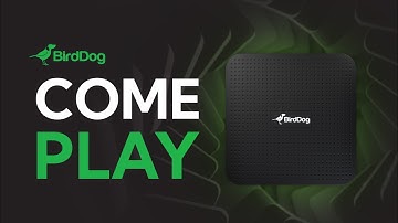 COME PLAY - BirdDog PLAY (Now Shipping)