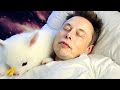 My SLEEP is Super IMPORTANT to ME! | Elon Musk | Top 10 Rules