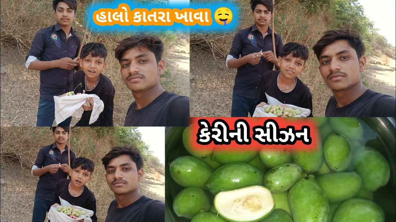 વાડીયે કાતરાની મોજ🤤// કેરીની સીઝન શરૂ થઈ ગઈ 🤤😍