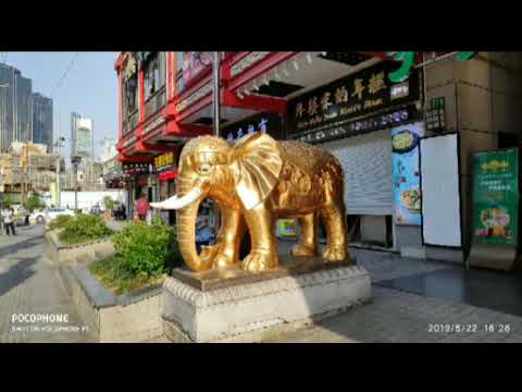 ჩინეთი: პეკინი, სიანი, შანხაი. მუზეუმები, ცათამბჯენები, პეიზაჟები. 13-23.05.19