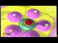 لاخد العالم كوكب زمردة الهوية الثانية SpaceToon Hd لاخد العالم كوكب زمردة الهوية الثانية SpaceToon Hd