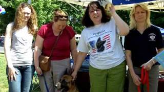 VA German Shepard Rescue SaveThisPup
