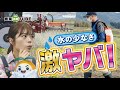 教えて！ラウンドアップ～(≧▽≦) そもそも他の除草剤と何が違うの？ULV5（ユーエルブイファイブ）ってなに？ かえって二度手間になるケースとは?! 新登場ふたばと公式キャラの超簡単な解説シリーズ！