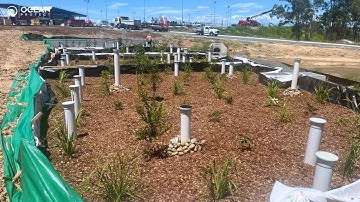 The Biggest Filterra® Bioretention System in Queensland