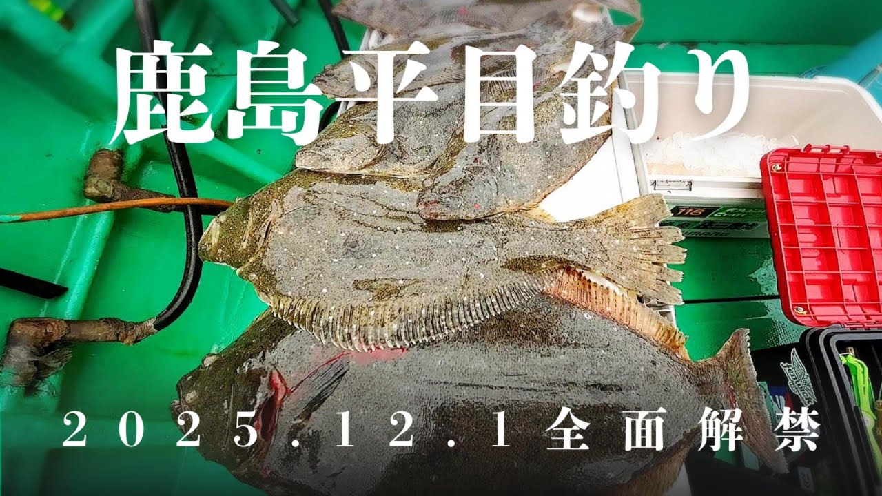 【ヒラメ釣り】12/1全面解禁！鹿島で挑む平目釣り！仕掛け・エサ｜2025.12.6