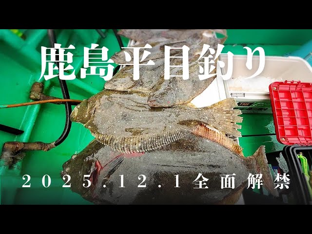 ヒラメ釣り】12/1全面解禁！鹿島で挑む平目釣り！仕掛け・エサ