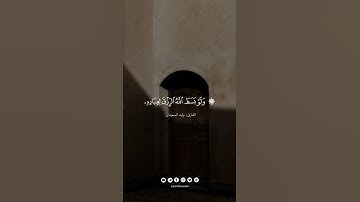 القارئ : الشيخ وليد السعيدان / سورة الشورى