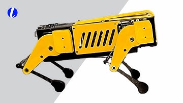 Mini Pupper 2 | ROS2 Robot Kit