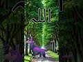 ya raba mustfa TU muja Hajj per Bula #shortvideo    #naat #viral #beautful #tiktok