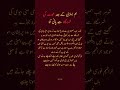 #شوہر_بیوی#ازدواجی_زندگی#ہمبستری#اسلامی_معلومات#MarriageTips#UrduFacts