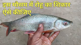 इस मौसम में रोहू मछली का शिकार ऐसे कीजिए || Sunday comment box || episode 149