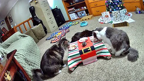 Christmas Dinner - Making Glamour's Last Day Her Best Day Part 2