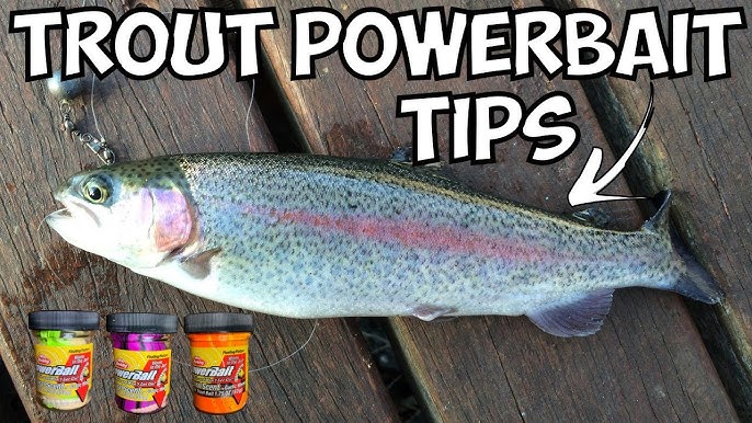 Top 10 Trout Powerbait Colors & Scents (2022 Edition) 