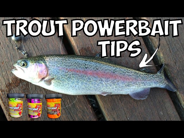 The BEST Powerbait Setup For Trout Fishing 