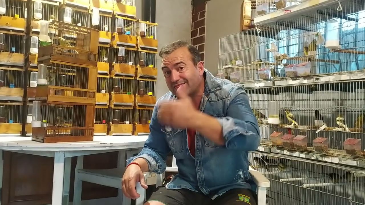 Camino al entrenamiento.