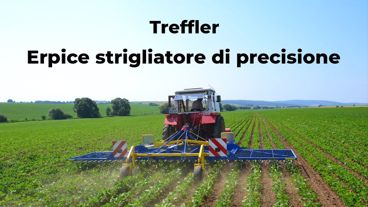 Erpice strigliatore di precisione TREFFLER