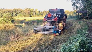 Tamco All New Pro Z3000 2021เกยวขาว กข15