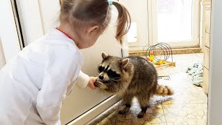 The Pikachu raccoon has occupied the kitchen and does not let Timofey in / Gora stole a chicken by Raccoon TV 52,245 views 2 years ago 10 minutes, 22 seconds