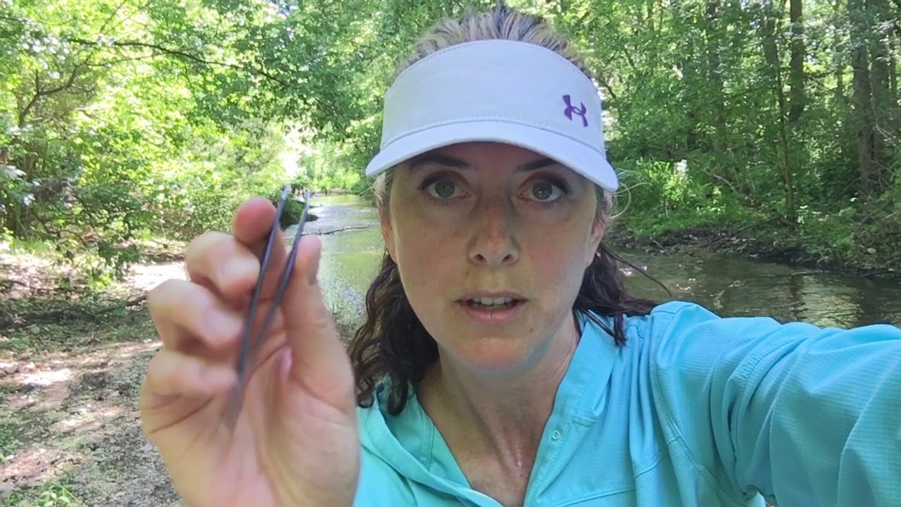 Lyme DIY Tick Removal Pack For Hikers YouTube