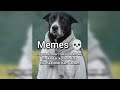 Epic Hilarious Relatable memes compilation #8